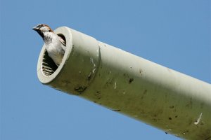 США «рассекретили» российское космическое оружие