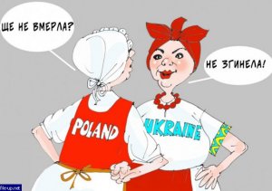 Польша-Украина: огонь по своим