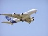 Билеты на первый рейс Airbus A380 проданы с аукциона за 100 тысяч долларов