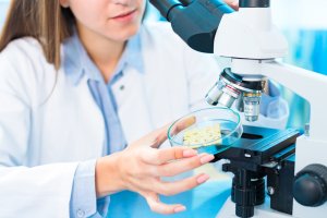 "Ростех" запатентовал технологию мгновенной проверки качества продуктов
