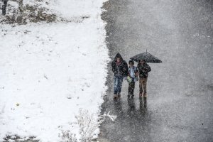 Тепло, еще теплее Что творится с погодой и можно ли предсказать ее нынешние капризы