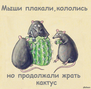 [«... жрать кактус»] Член комитета Совета Федерации по международным делам Цеков прокомментировал заявление главы Национальной разведки США Коутса о том, что Россия справилась с санкциями Запада