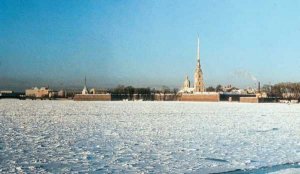 Спасатели вытащили из Невы бразильца