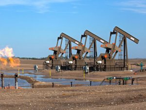 США отказались сотрудничать с ОПЕК на рынке нефти