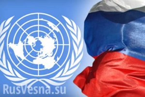 Запад начал операцию по выведению России из Совбеза ООН — сенатор Сергей Калашников