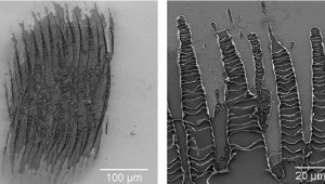 Ученые из России создали терагерцовый "лазер", разрушающий металл