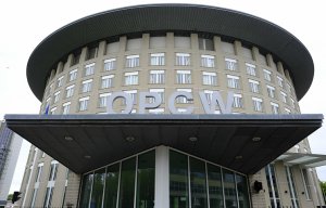Россия получила ответы ОЗХО по делу Скрипаля