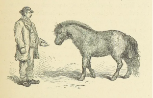 Зависть и тщеславие