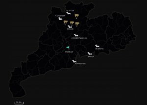[НЕ пятничное] Летучие мыши заразили китайских поросят смертельной диареей