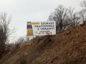 Украинцев продают на Западе как скот на базаре