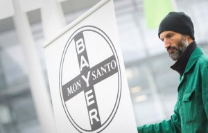 ФАС одобрила сделку по слиянию Bayer и Monsanto