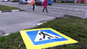В Москве предложили выдать деревьям паспорта на устойчивость к ураганам