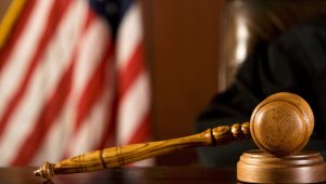 В США животным официально запретили судиться с людьми