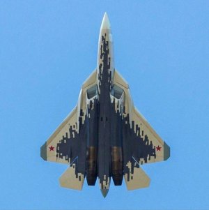 F-35 не интересует! В МО Индии заявили, что принципиально готовы покупать Су-57