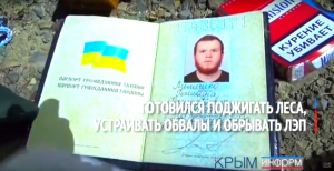 Украинский диверсант Лимешко приговорен в Крыму к восьми годам лишения свободы
