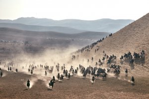 Генетики поставили под вопрос историю индоевропейской экспансии в Евразии