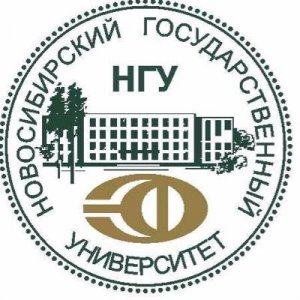Студенты вступились за профессора НГУ, которого обвиняют в имитации научной деятельности и рерайте