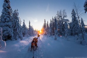 В Финляндии растаял последний снег