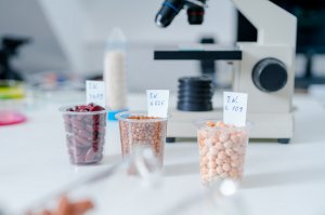 Россияне настороженно относятся к еде с добавлением ГМО
