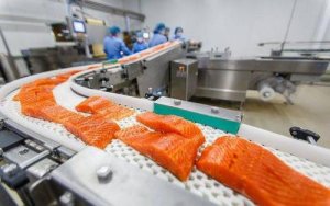 На Курилах осудили экс-директора рыбокомбината "Островной"
