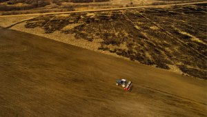 Россияне получили более 40 тыс. «дальневосточных гектаров»