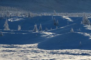 Таяние вечной мерзлоты назвали умеренно опасным для климата