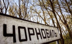 Пожар в Чернобыле: горит радиоактивный «Рыжий лес»