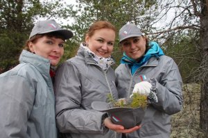 Активисты ОНФ в Коми приняли участие во Всероссийском дне посадки леса