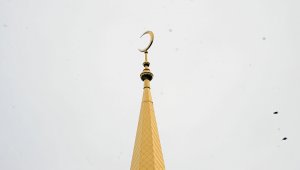 Австрия высылает 40 имамов и закрывает 7 мечетей