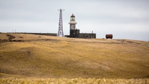 На Сахалине выявили более 250 нарушений при выделении «дальневосточных гектаров»