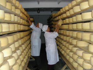 TF1: когда эмбарго снимут, Россия уже будет всё производить самостоятельно