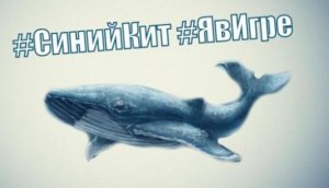 Девочка-подросток осуждена в Петербурге за склонение сверстников к самоубийству