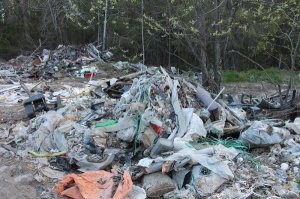 Активисты ОНФ в Коми держат на контроле ликвидацию свалки в лесу у села Куниб