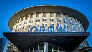 В ОЗХО отклонили поправки к проекту Британии по функциям организации