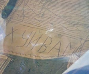 Послали Наска: на одесском поле появилась нецензурная надпись, поврежден урожай