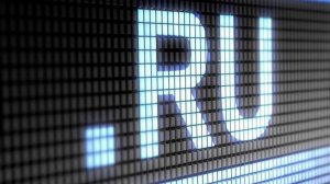 Существует ли гражданское общество в России?