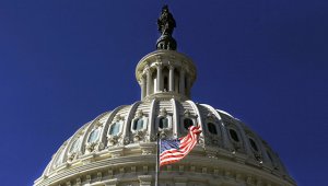 Конгрессмен пообещал изучить случаи гибели усыновленных в США русских детей