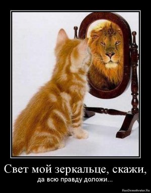 [«Свет мой, зеркальце, скажи, да всю правду доложи...»] Государство подняло доверие к рейтингам, в особенности по международной шкале