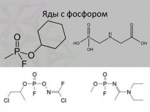 Ученые МГУ запатентовали быстрый метод определения остатков фосфорсодержащих ядов