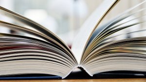 Госдума приняла закон об изучении родных языков