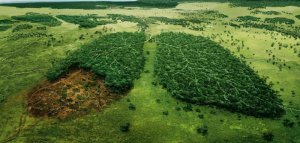 Мир исчерпал возобновляемые ресурсы на 2018 год к 1 августа