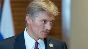 Песков назвал темы переговоров Путина и Меркель