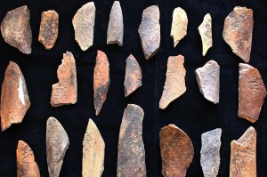 Как алтайские неандертальцы оказались мигрантами из Восточной Европы