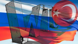 Турция будет сотрудничать с РФ в рамках процесса против США в ВТО