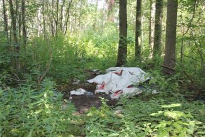 Активисты ОНФ в Коми провели субботник в зеленой зоне Сыктывкара