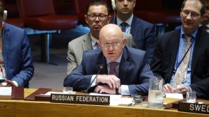 Минобороны России не имеет привычки и обыкновения делать «фейковые», абсурдные и смешные заявления. Может быть, это свойственно для Минобороны... других стран, но точно не для российского - Небедзя