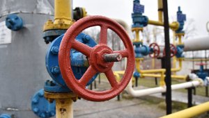В Раде рассказали о "колоссальных" запасах газа на Украине‍