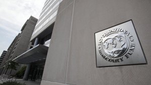 Белоруссия отказалась от совместной с МВФ программы структурных реформ в стране