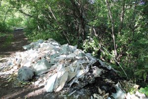 В Кирове вблизи памятника природы регионального значения разрастаются свалки