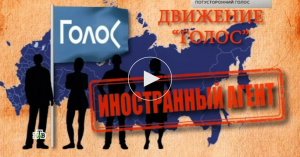 На НТВ вышло очередное расследование о подготовке наблюдателей к Единому дню голосования
